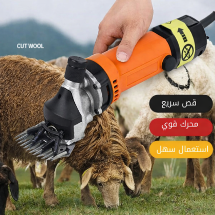 Tondeuse électrique à moutons 850W avec variateur